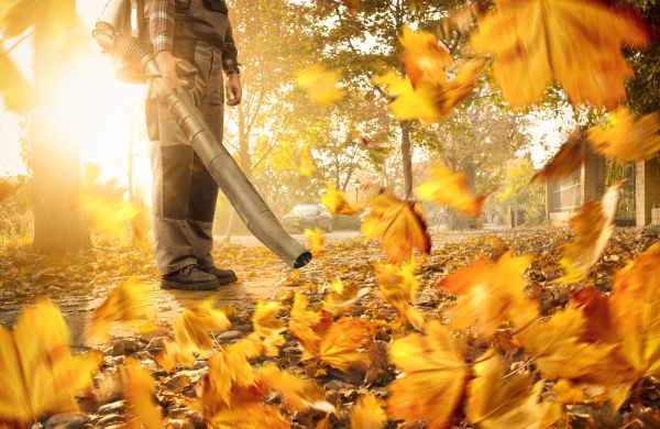 Leaf Blowing Service in Venice
