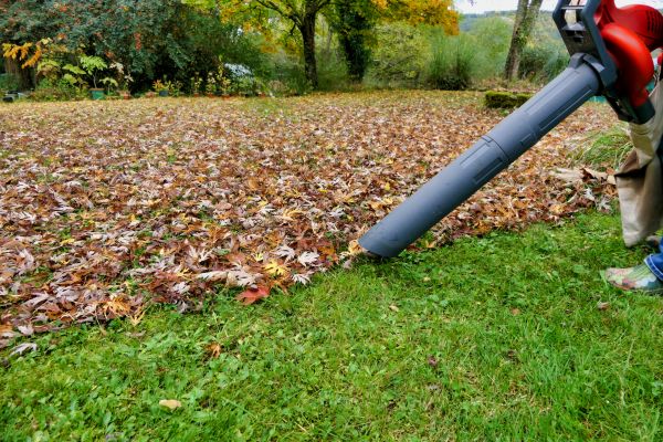 Leaf Vacuuming Service in Venice