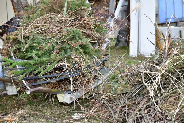 Yard Waste Removal Service in Venice