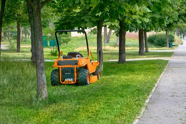 Landscaping Cleanup Service in Venice