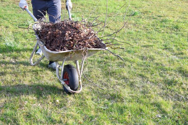Yard Brush Removal in Venice