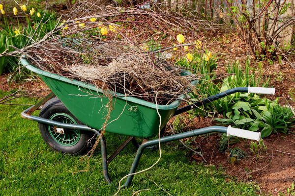 Lawn Waste Removal in Venice