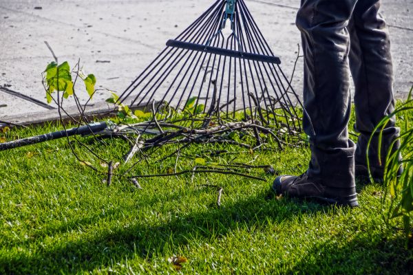 Yard Debris Cleanup in Venice