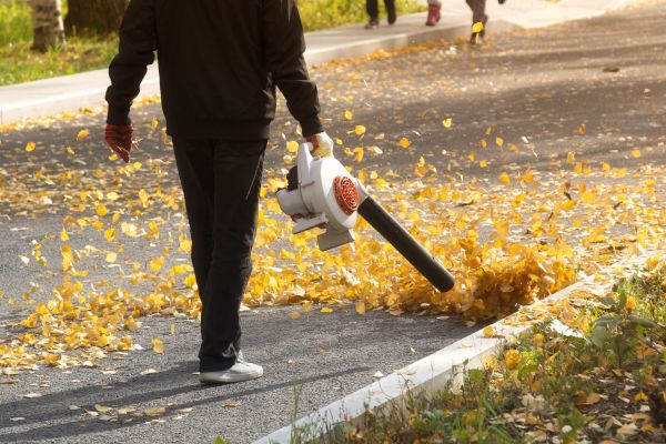 Commercial Leaf Removal in Venice