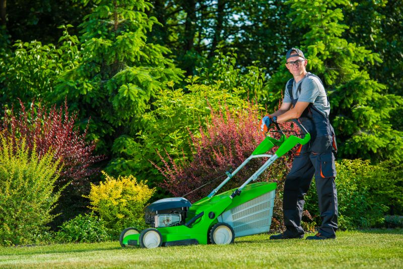 Professional Lawn Care Service