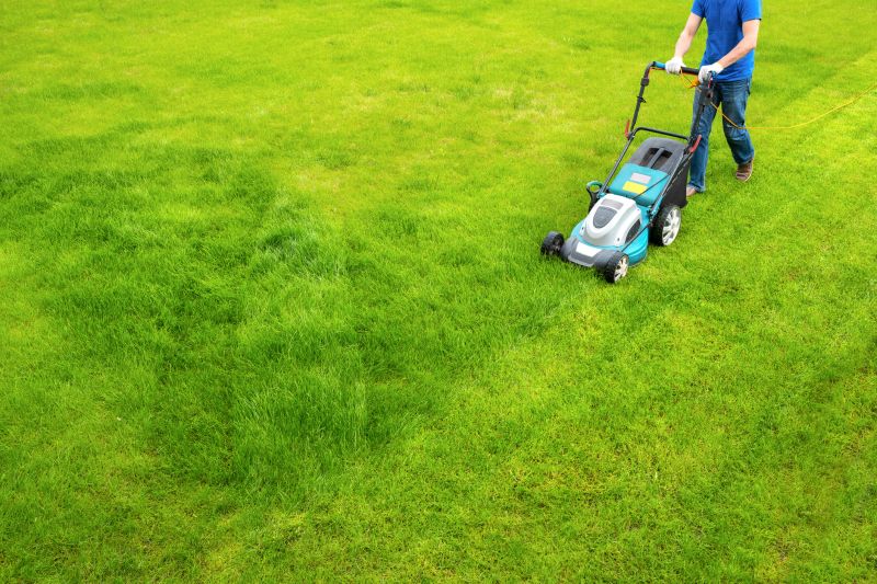 Mid-season lawn maintenance