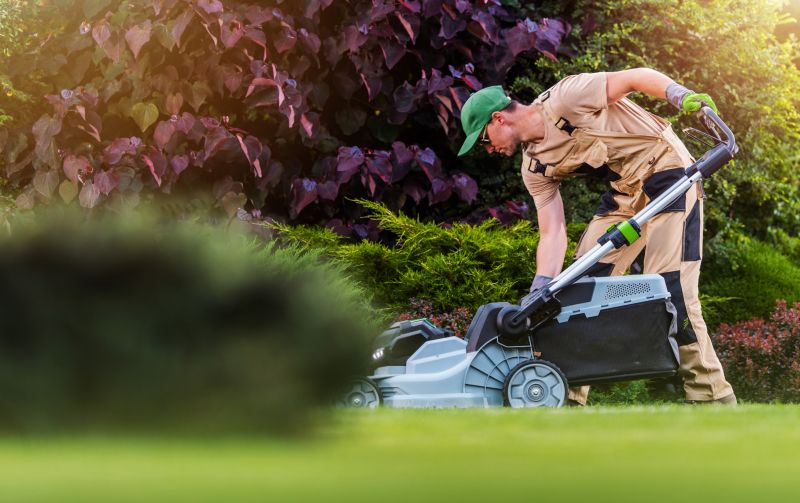 Professional Lawn Maintenance Teams