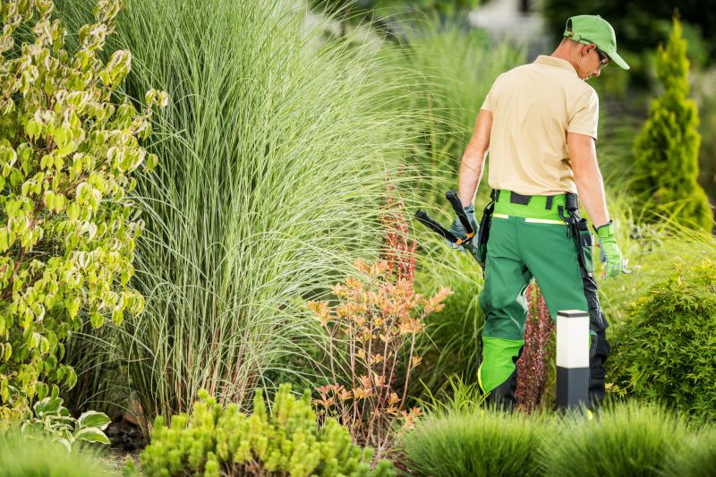 Full-Service Landscaping Companies